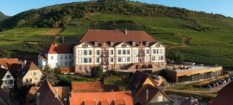 瓦勒-维涅酒店(Hôtel Val-Vignes Colmar Haut-Koenigsbourg, the Originals Relais)图片