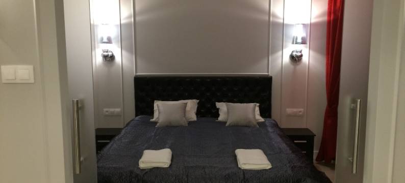 托伦华丽酒店(Toruń DeLuxe)图片