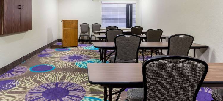 纽布朗费尔斯拉昆塔温德姆套房酒店(La Quinta Inn & Suites by Wyndham New Braunfels)图片