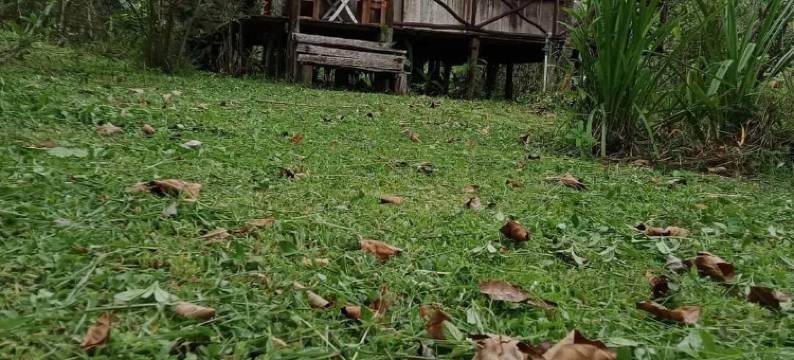 富国岛胡椒农场酒店(Pepper Farm Phu Quoc Bungalow)图片