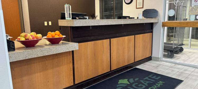 苏城蔚景温德姆酒店(Wingate by Wyndham Sioux City)图片