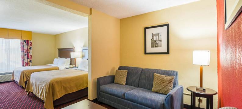 凯艺套房酒店(Quality Inn & Suites)图片