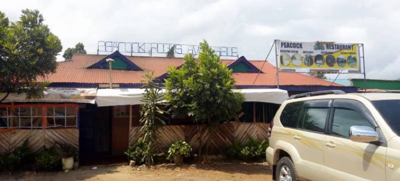 Peacock Restaurant图片