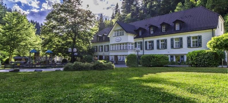 贝得苏博万酒店(Waldhotel Bad Sulzburg)图片