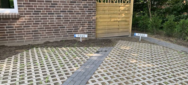 伯恩斯坦寻石者(Bernsteinsucher)图片