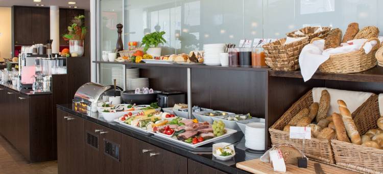 克莱姆斯酒店(arte Hotel Krems)图片