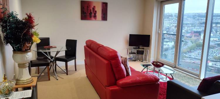 全景视图(Panoramic View)图片