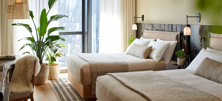 1酒店墨尔本(1 Hotel Melbourne)图片