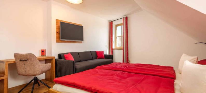 天鹅旅馆盖尔尼(Hotel Garni Zum Schwan)图片