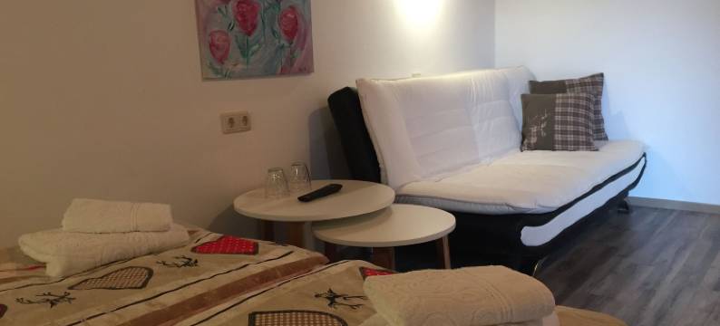 沃克里贝尔旅馆(Pension & Apartments Waldkrieber)图片