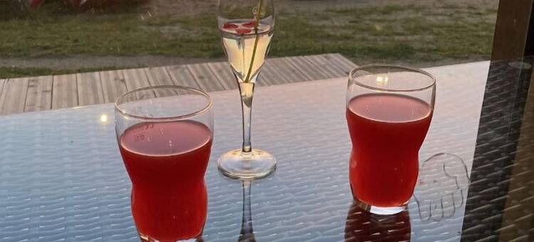 菲斯湖露营酒店(Camping le Lac O Fées)图片