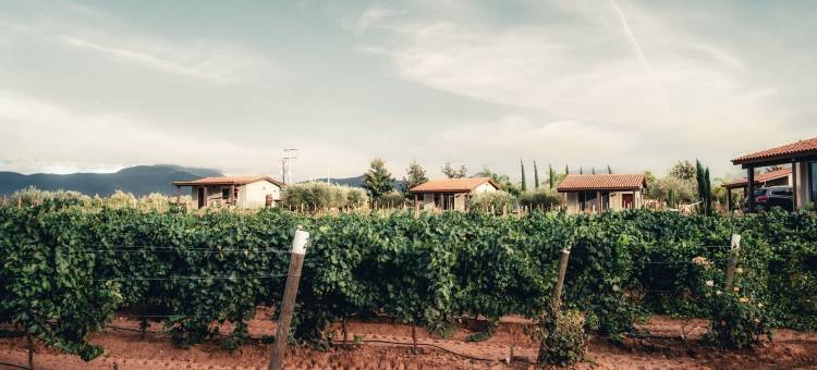 雷托诺斯别墅酒店(Villas en Los Retoños)图片