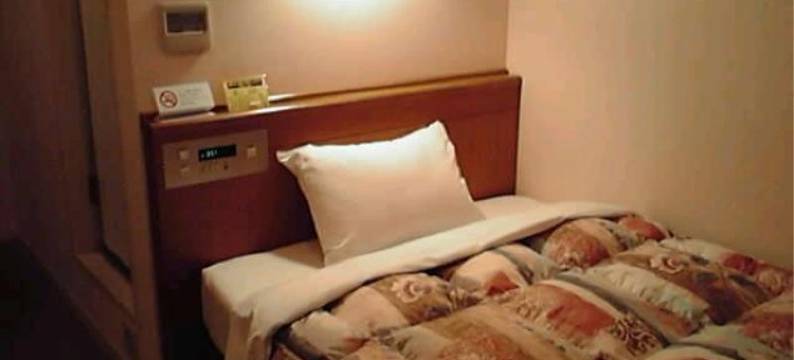 爱丽丝因知立酒店(Iris Inn Chiryu)图片