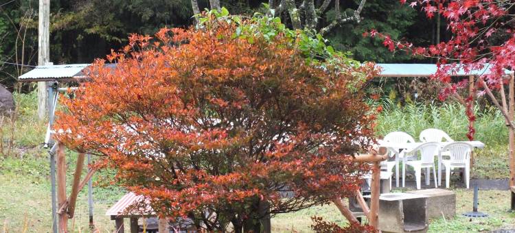 多木山旅馆(Mountain Domu)图片