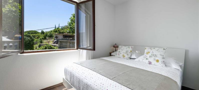 玫瑰客房旅馆(Guest House Rooms Rose)图片