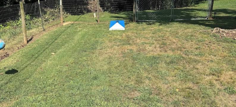 Etowah's Cottage - dog friendly, king beds, hiking, rafting, motorcycles图片