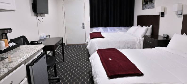 帕芬旅馆(Puffin Inn)图片