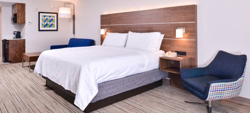 洲际智选假日酒店及套房坦帕-安德森路/退伍军人(Holiday Inn Express & Suites TAMPA-ANDERSON RD/VETERANS EXP by IHG)图片