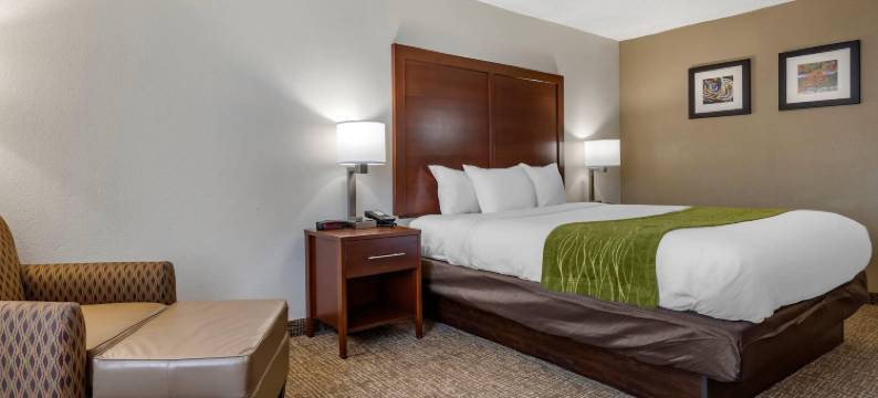 舒适酒店(Comfort Inn)图片