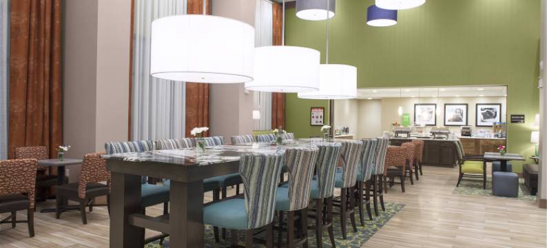 雪城华美达酒店(Hampton Inn & Suites Syracuse-North (Airport Area))图片
