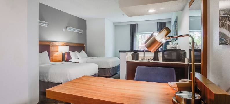 萨凡纳市中心区万豪SpringHill酒店(Country Inn & Suites by Radisson, Savannah Southside)图片