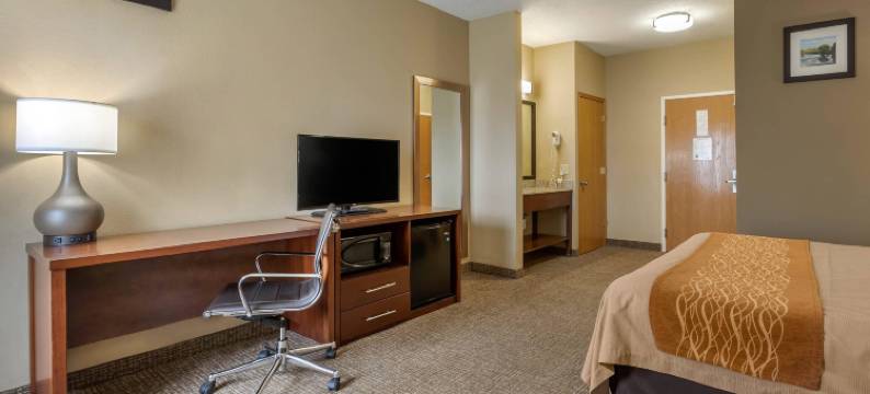 舒适酒店-沃尔科特近达文波特(Comfort Inn Walcott Near Davenport)图片