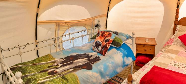 Bell Tent in Devon near Stunning Beaches图片