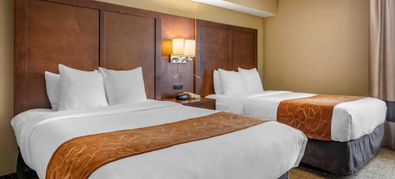 贝梅度斯靠近巴特勒大道舒适套房酒店(Comfort Suites Baymeadows Near Butler Blvd)图片