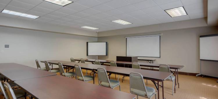 舒眠酒店及套房 - 近乔治王子堡李(Sleep Inn & Suites Prince George Near Fort Lee)图片