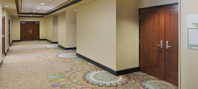 Holiday Inn 大急流城- 机场(Holiday Inn GRAND RAPIDS - AIRPORT by IHG)图片