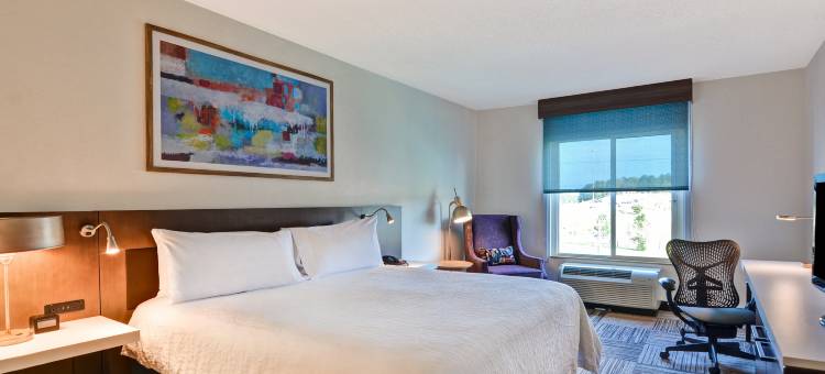 摩拜尔东湾/代弗尼希尔顿花园酒店(Hilton Garden Inn Mobile East Bay/Daphne)图片