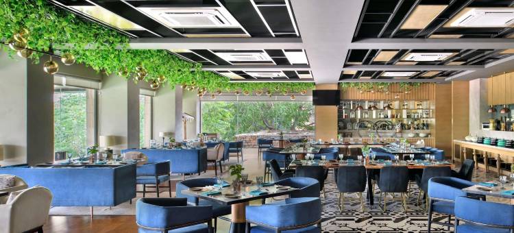 诺富特焦特布尔 ITI 圆环酒店(2023 年 4 月开业)(Novotel Jodhpur Iti Circle)图片