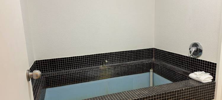 陶波切姆斯伍德汽车旅馆(Chelmswood Motel Taupo)图片