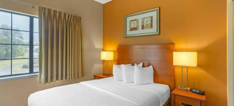 美国长期逗留套房兰卡斯特县(Extended Stay America Suites - Lancaster County)图片