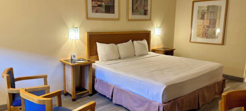 华雷斯城(Hotel Colonial Ciudad Juarez)图片