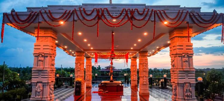 梅菲尔Purnea(Mayfair Purnea)图片