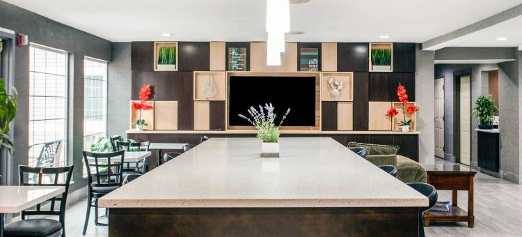 格林维尔机场美茵斯坦套房酒店(MainStay Suites Greenville Airport)图片