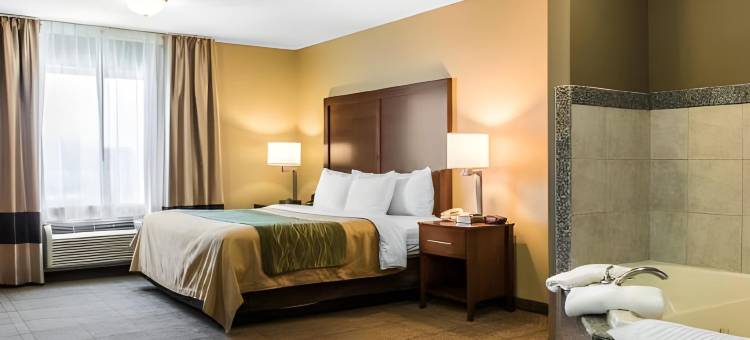 兰开斯特县舒适酒店(Comfort Inn Lancaster County)图片