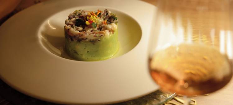 里乌宫鹦鹉螺酒店 - 限成人(Hotel Riu Palace Nautilus - Adults Only)图片