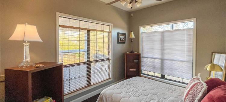 Starkvegas俱乐部会所~距离MSU校园2英里！(Starkvegas Clubhouse ~ 2 Mi to MSU Campus!)图片