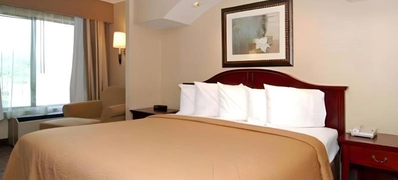 凯艺套房酒店(Quality Inn & Suites)图片