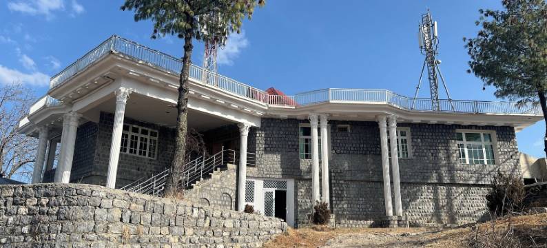 雪松与苏顿(Cedar & Sutoon)图片