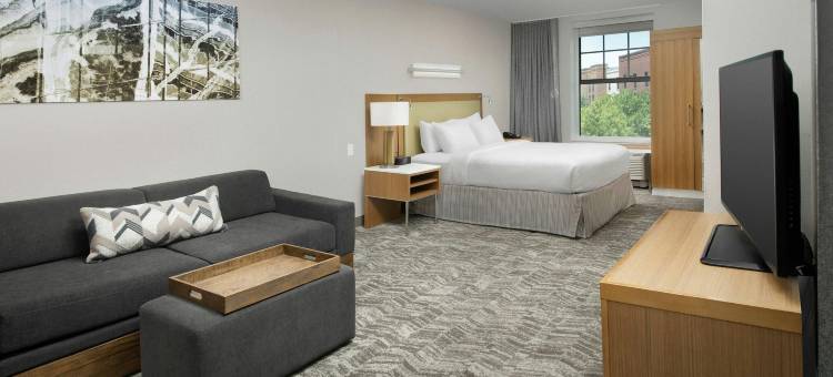 杰克逊北/理奇兰万豪SpringHill酒店(SpringHill Suites Jackson Ridgeland/The Township at Colony Park)图片