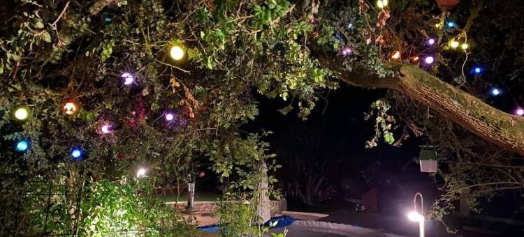 勒马斯普昂泰(Le Mas Pouantais)图片