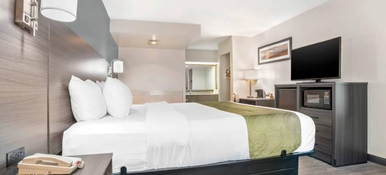 弗利品质酒店(Quality Inn)图片