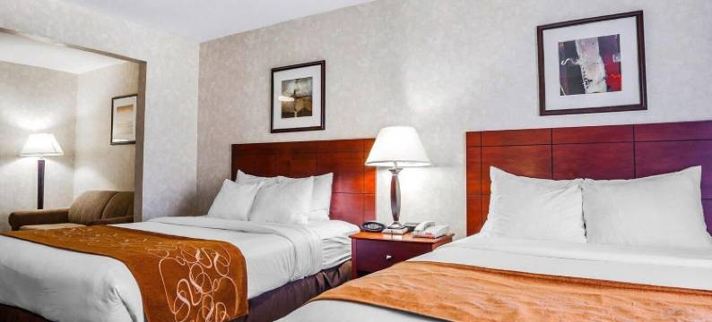 独立城舒适套房酒店-堪萨斯城(Comfort Suites Independence - Kansas City)图片