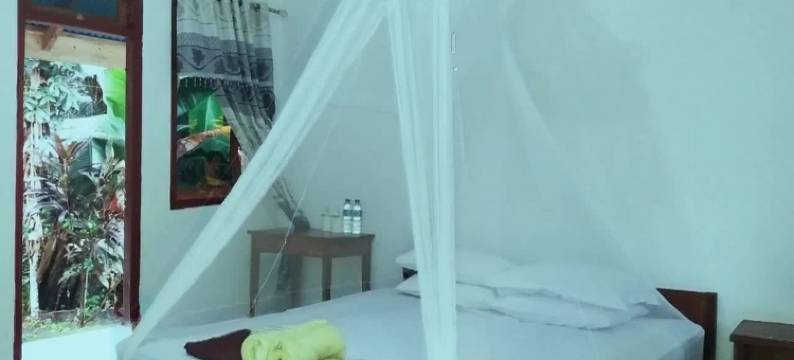 唐科科马卡卡度假村(Tangkoko Macaca)图片