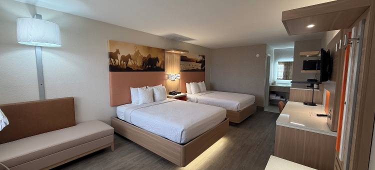 格兰伯里戴斯酒店(Days Inn by Wyndham Granbury)图片