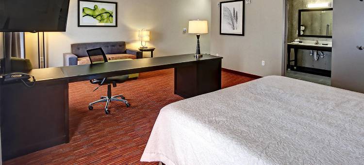 阿达欢朋酒店(Hampton Inn & Suites Ada)图片