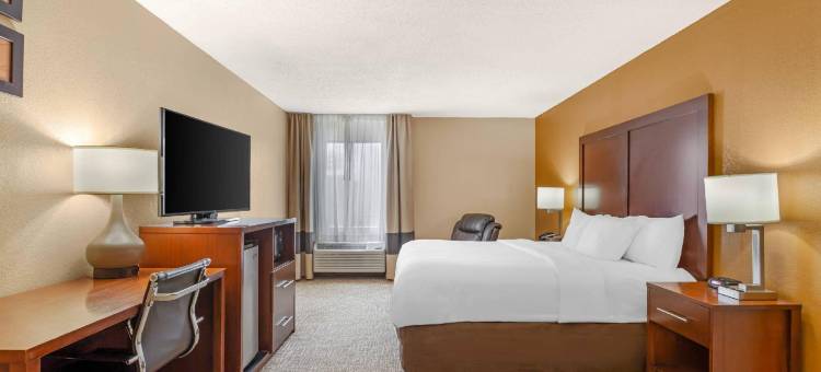 舒适酒店(Comfort Inn North Conroe)图片
